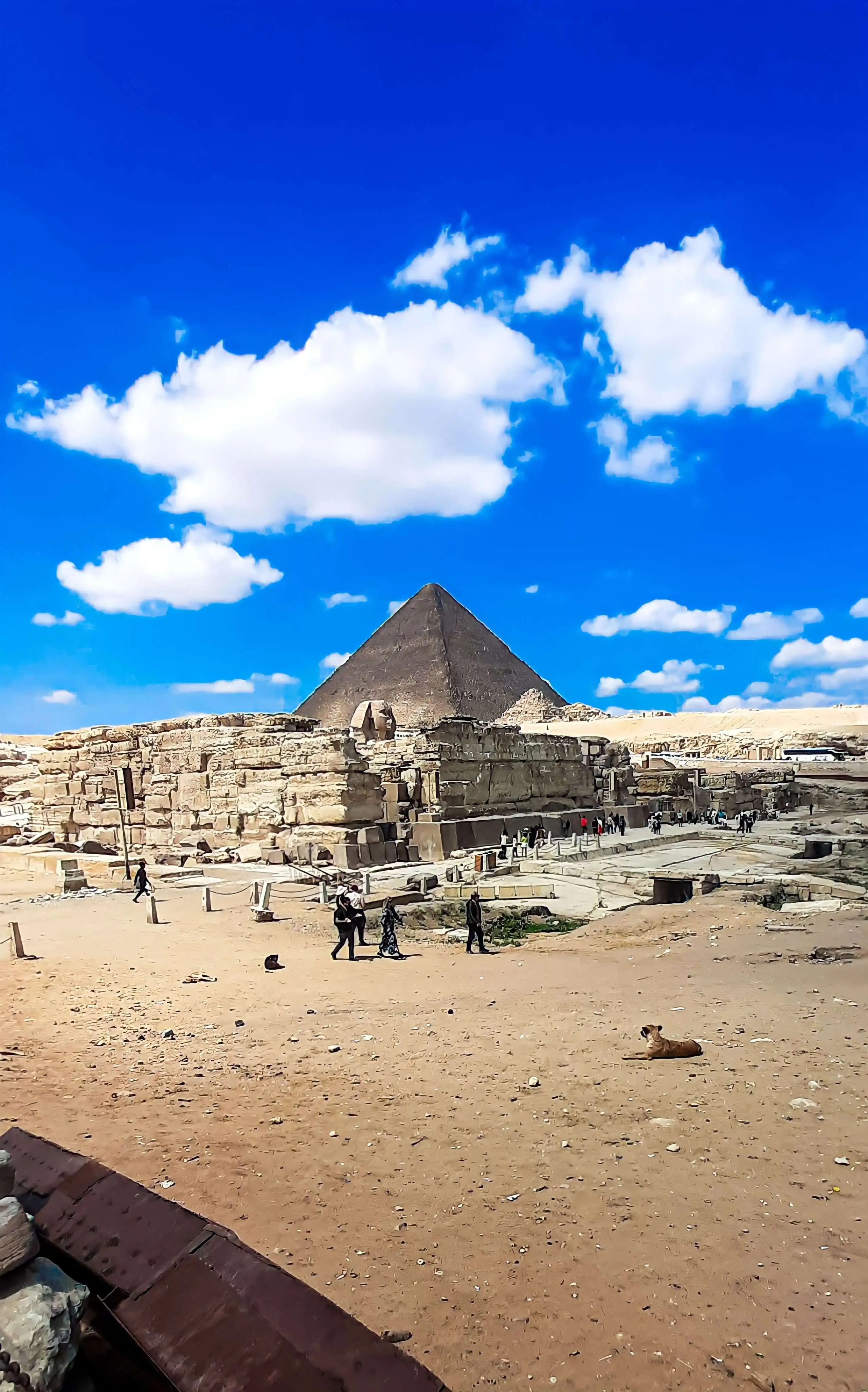 Tour privato del Cairo