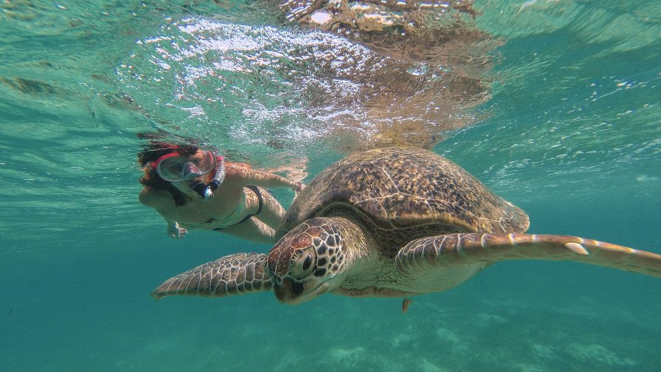 Marsa Mubarak Snorkeling