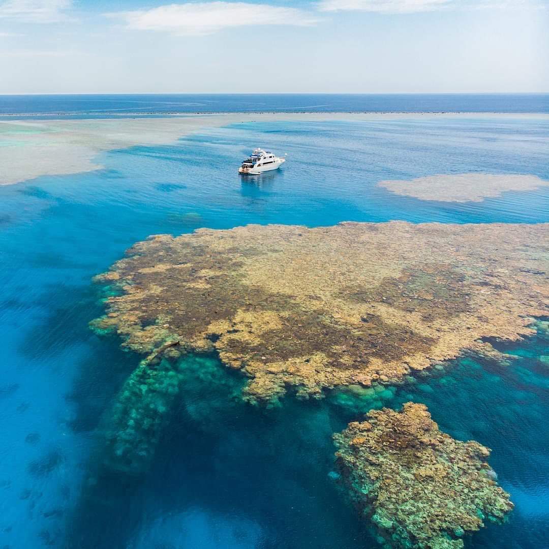 Marsa Alam: Ogród Koralowy